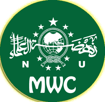 Logo NU